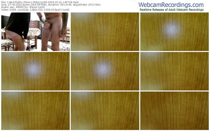 2024/10/21/cam4-robyyyy69-14-57-24