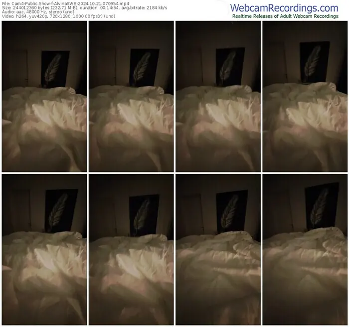 2024/10/21/cam4-alvinaswe-07-09-54