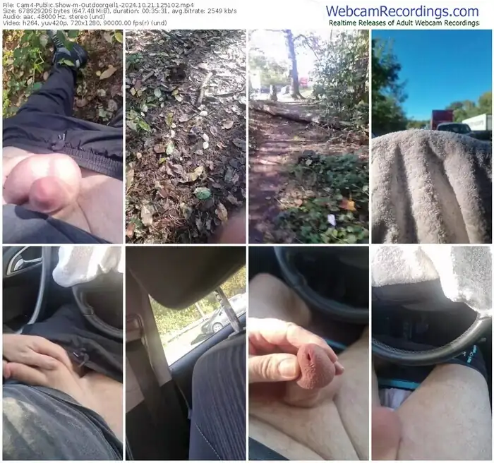 2024/10/21/cam4-outdoorgeil1-12-51-02