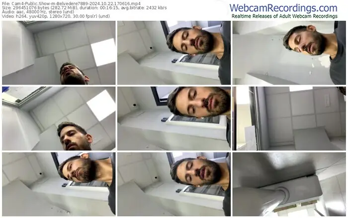 2024/10/22/cam4-belvedere7889-17-06-16