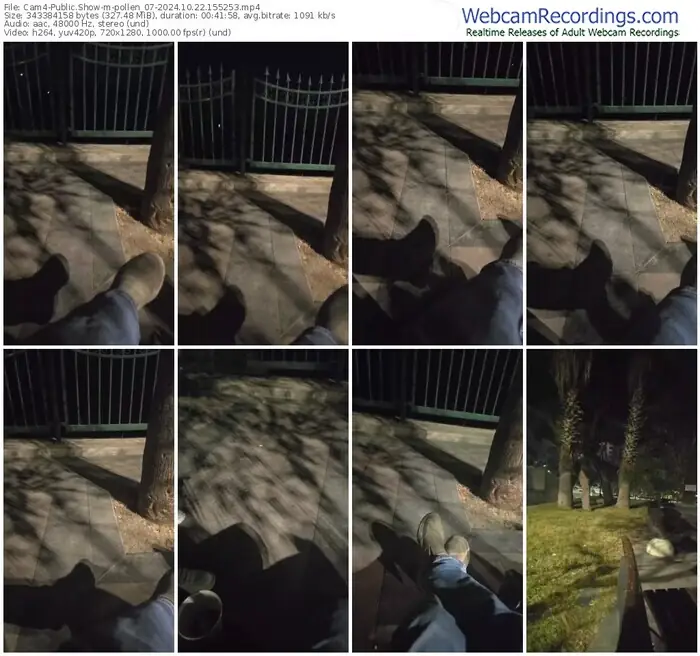 2024/10/22/cam4-pollen_07-15-52-53