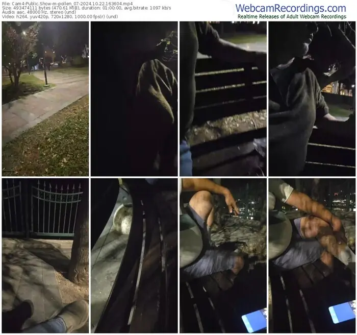 2024/10/22/cam4-pollen_07-16-36-04