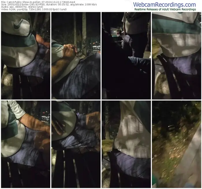 2024/10/22/cam4-pollen_07-17-36-40