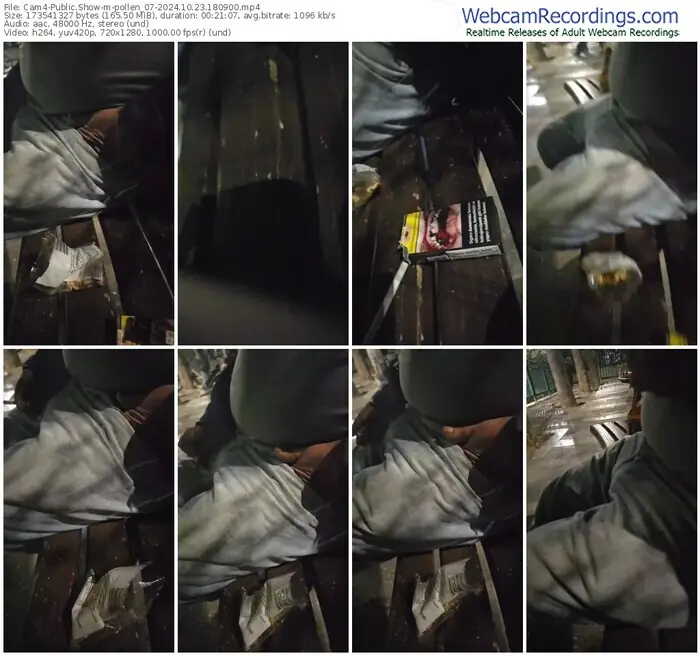 2024/10/23/cam4-pollen_07-18-09-00