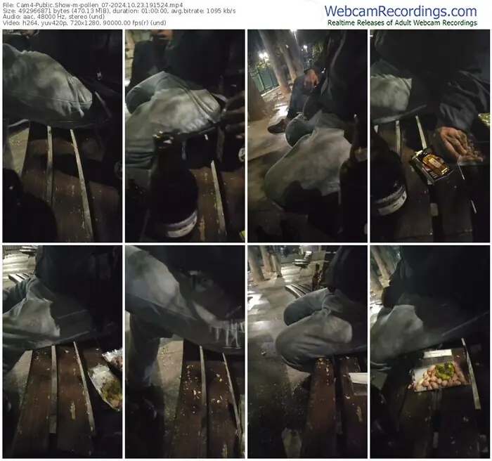 2024/10/23/cam4-pollen_07-19-15-24