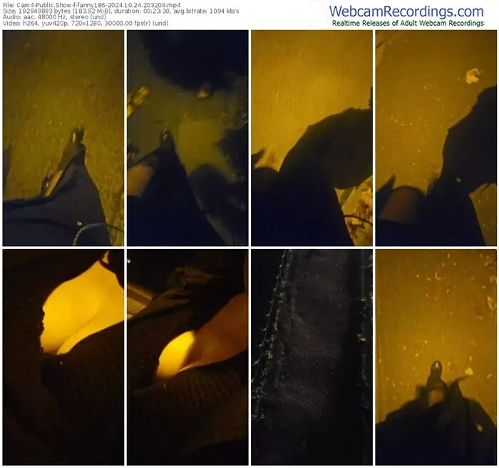 2024/10/24/cam4-fanny186-20-32-09