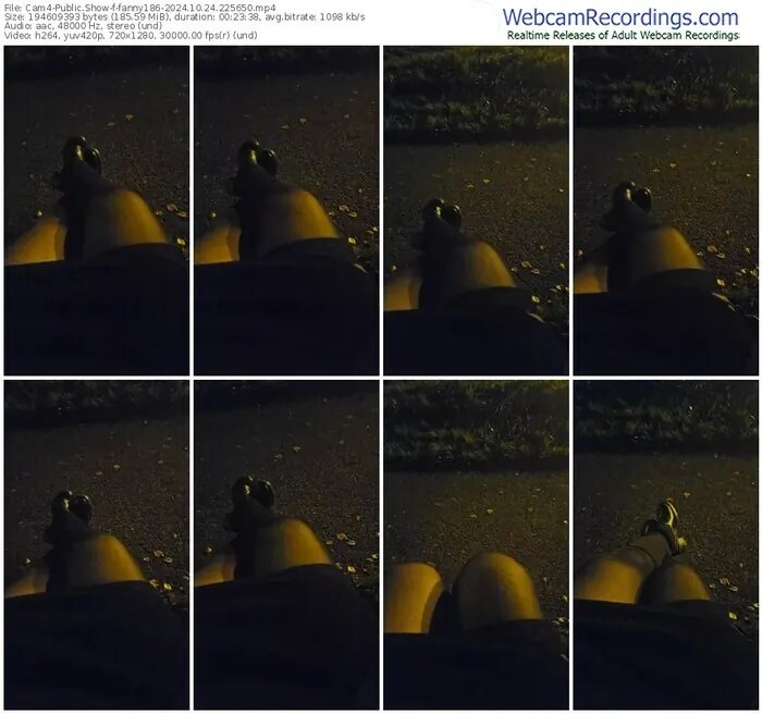 2024/10/24/cam4-fanny186-22-56-50