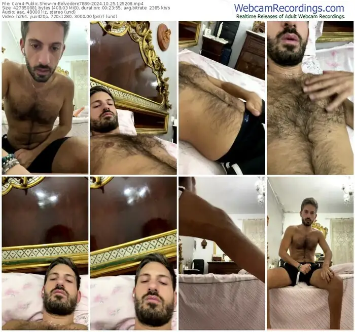 2024/10/25/cam4-belvedere7889-12-52-08