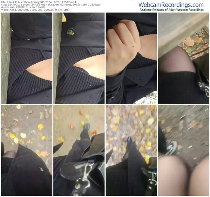 2024/10/26/cam4-fanny186-11-25-37