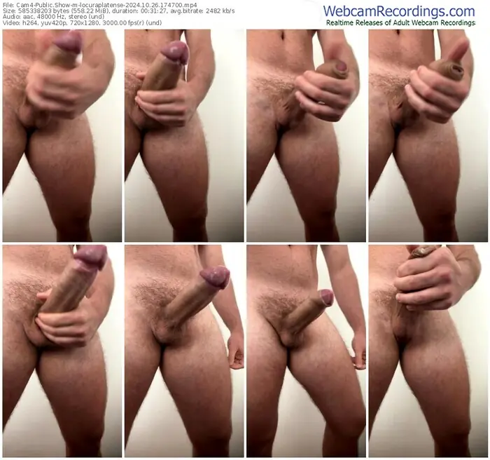 2024/10/26/cam4-locuraplatense-17-47-00