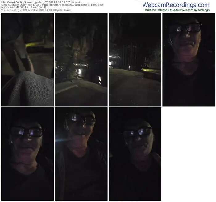 2024/10/26/cam4-pollen_07-20-25-16