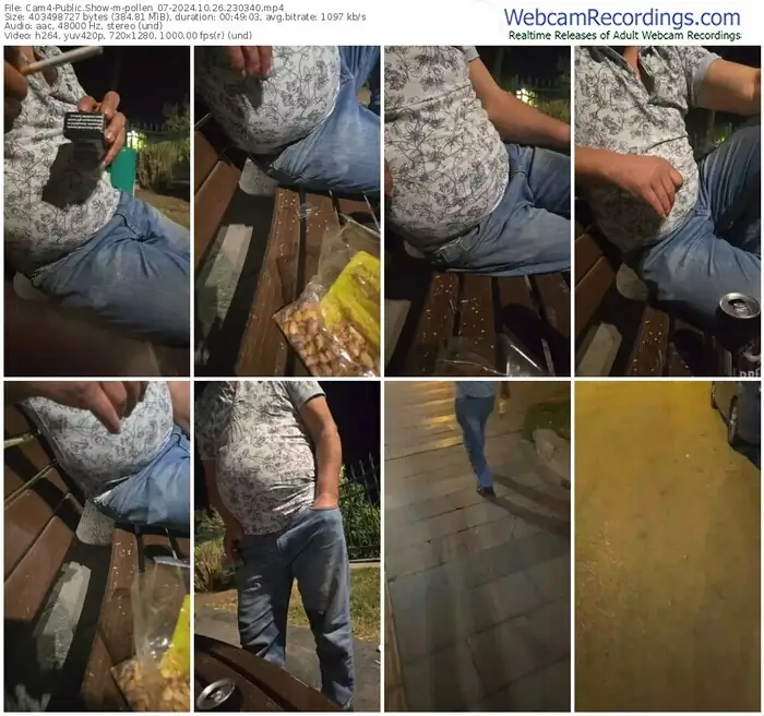 2024/10/26/cam4-pollen_07-23-03-40