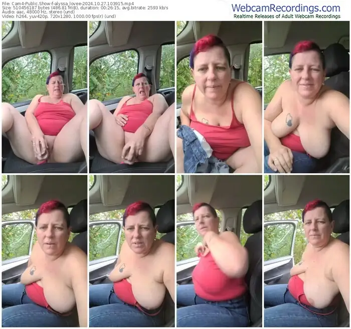 2024/10/27/cam4-alyssa_lovee-10-39-15