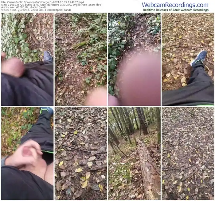 2024/10/27/cam4-outdoorgeil1-12-49-07