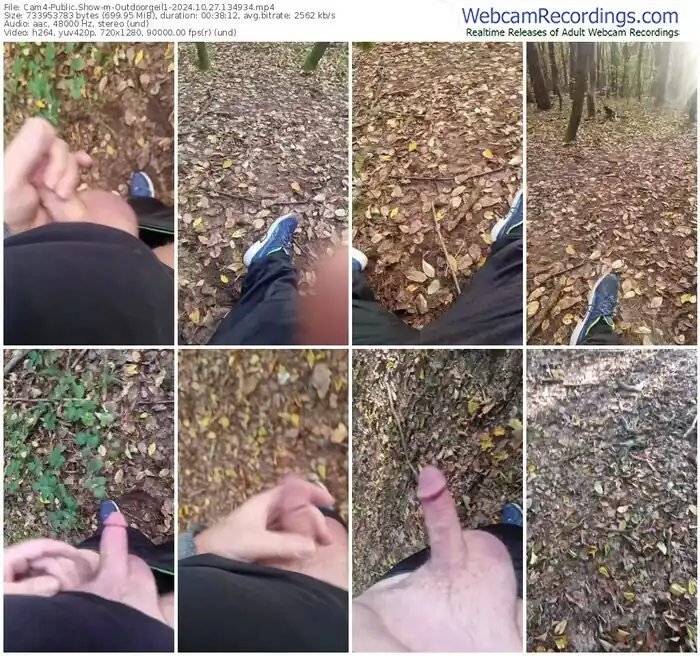 2024/10/27/cam4-outdoorgeil1-13-49-34