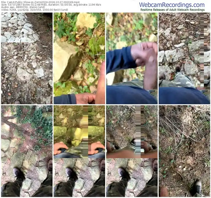 2024/10/27/cam4-zorro2024-09-22-49