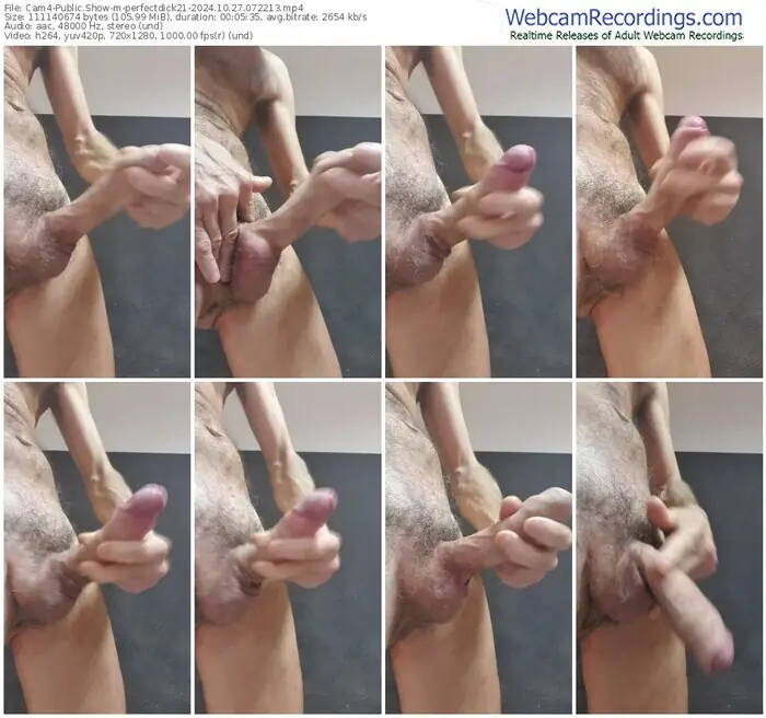 2024/10/27/cam4-perfectdick21-07-22-13