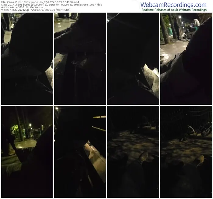 2024/10/27/cam4-pollen_07-16-40-50