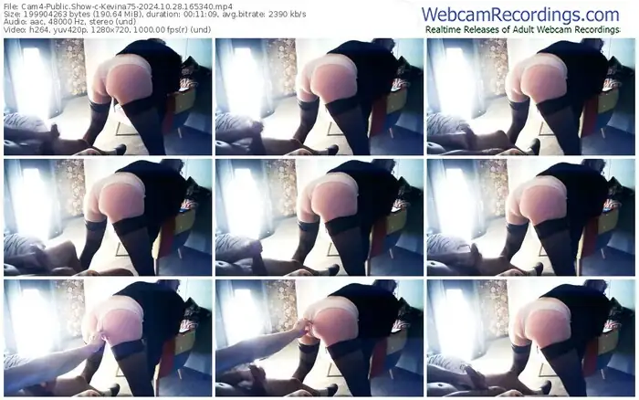 2024/10/28/cam4-kevina75-16-53-40