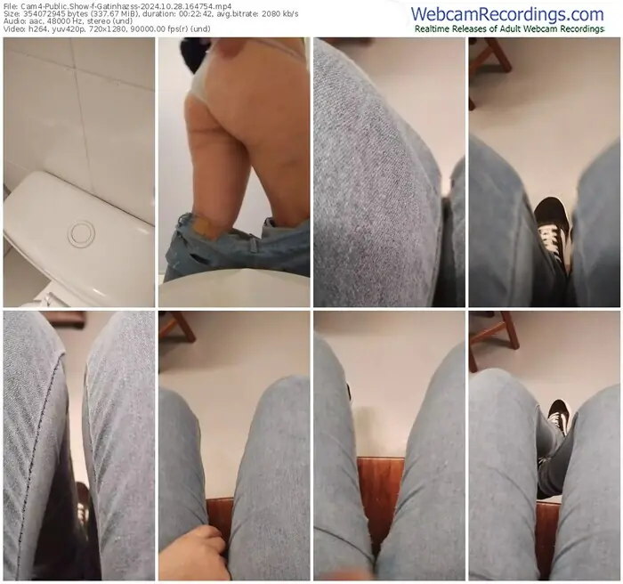 2024/10/28/cam4-gatinhazss-16-47-54