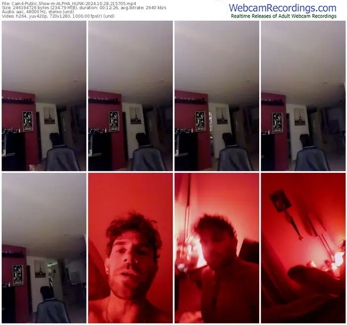 2024/10/28/cam4-alpha_hunk-21-57-05