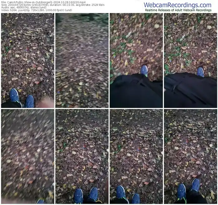 2024/10/28/cam4-outdoorgeil1-16-02-20