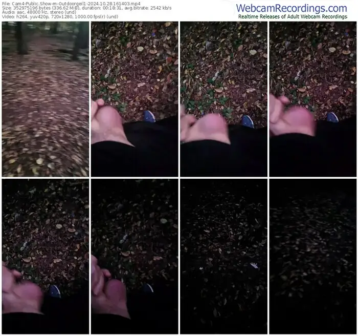 2024/10/28/cam4-outdoorgeil1-16-14-03