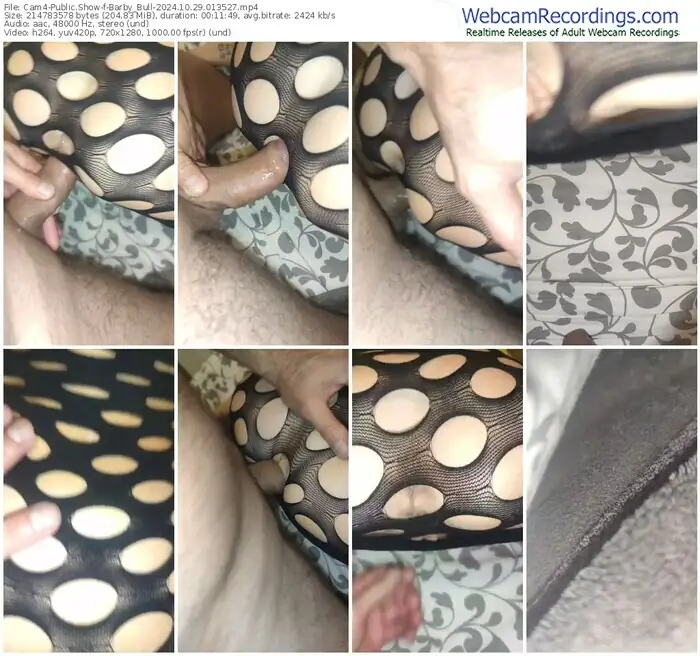 2024/10/29/cam4-barby_bull-01-35-27