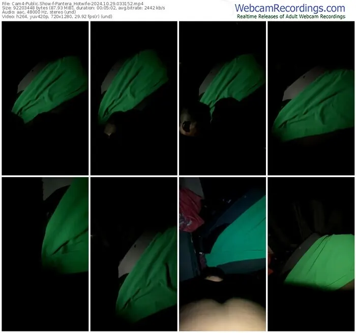 2024/10/29/cam4-pantera_hotwife-03-31-52