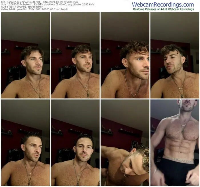 2024/10/29/cam4-alpha_hunk-20-51-08