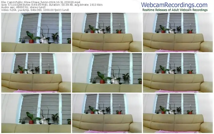 2024/10/31/cam4-have_funnn-20-30-20