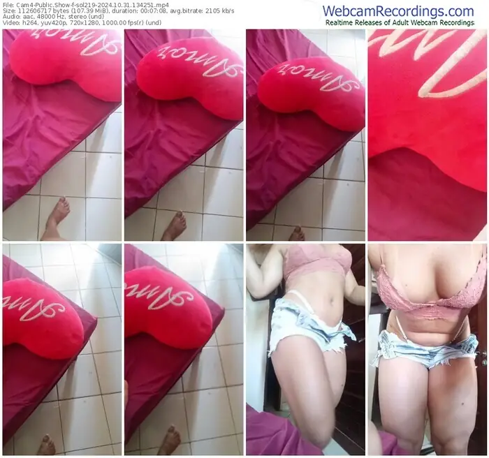 2024/10/31/cam4-sol219-13-42-51