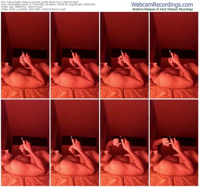 2024/10/31/cam4-alpha_hunk-00-01-23