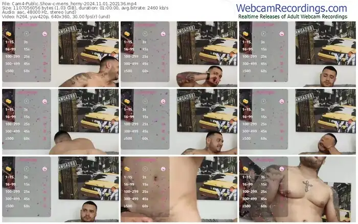 2024/11/01/cam4-mens_horny-20-21-36