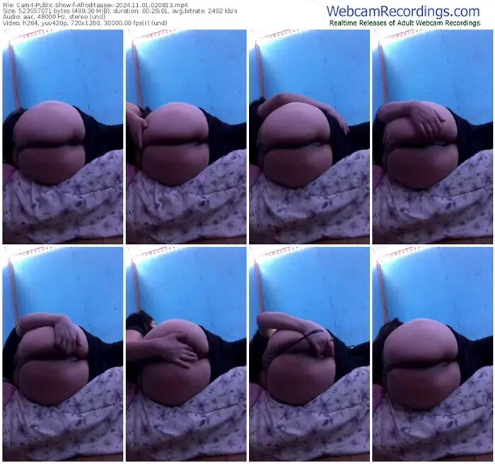 2024/11/01/cam4-afroditaasex-02-08-13