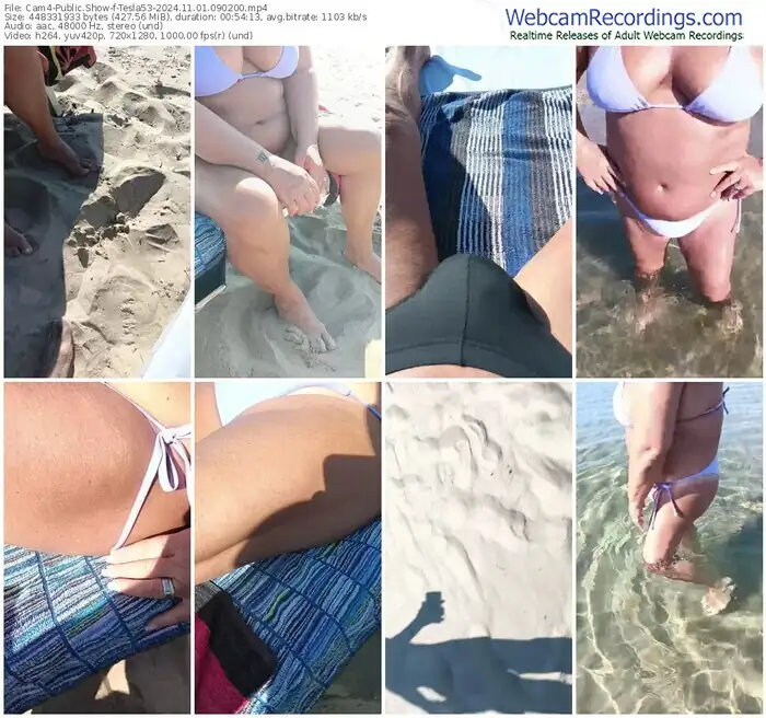 2024/11/01/cam4-tesla53-09-02-00