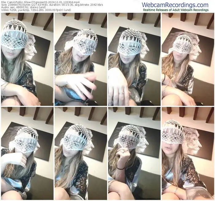 2024/11/01/cam4-tigresse03-12-03-04