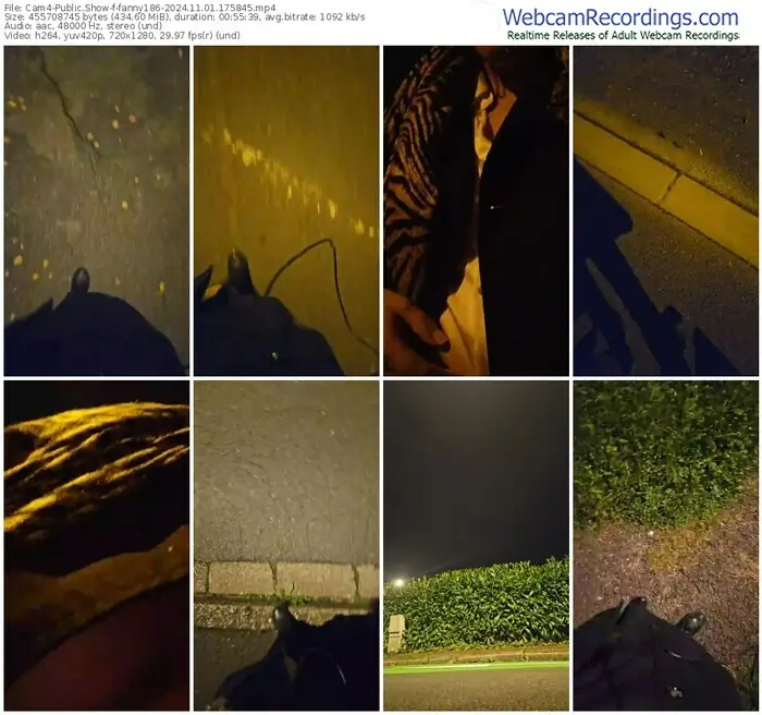 2024/11/01/cam4-fanny186-17-58-45