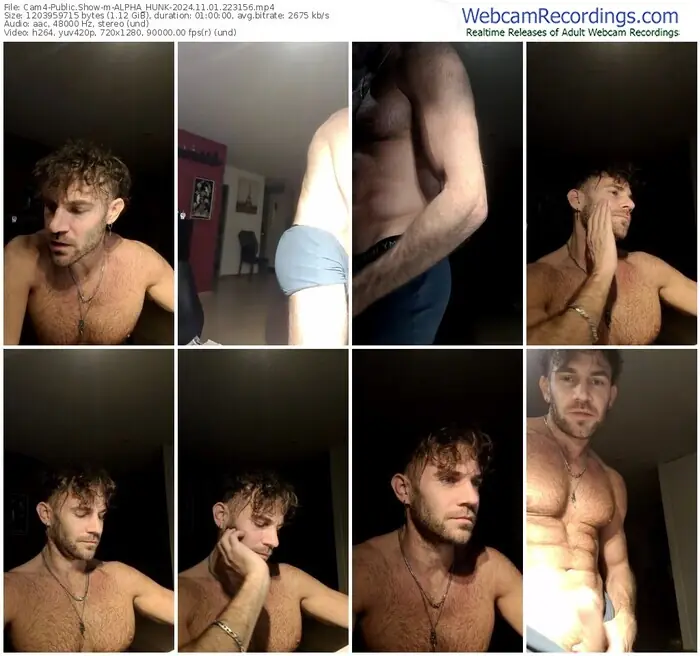 2024/11/01/cam4-alpha_hunk-22-31-56