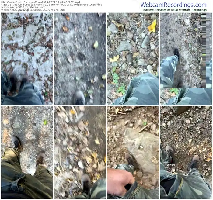 2024/11/01/cam4-zorro2024-08-22-02