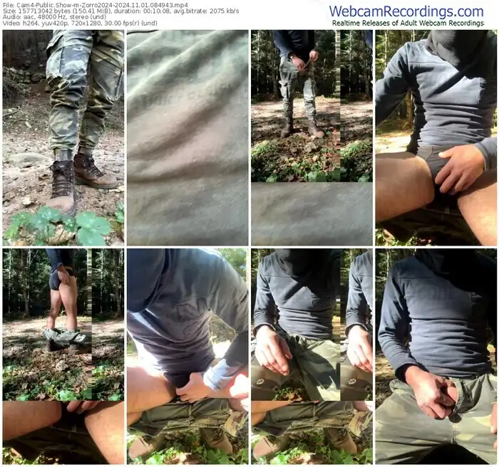 2024/11/01/cam4-zorro2024-08-49-43