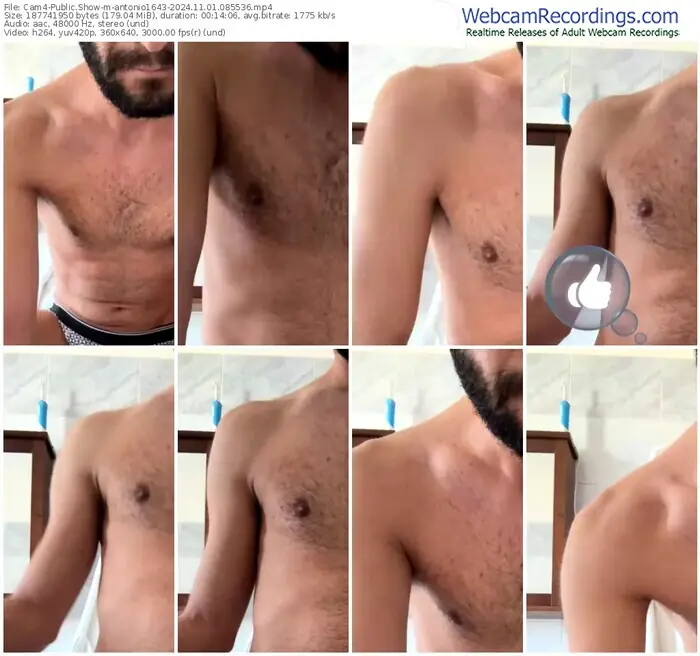 2024/11/01/cam4-antonio1643-08-55-36