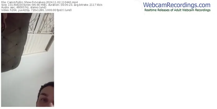 2024/11/02/cam4-vivialves-11-04-40