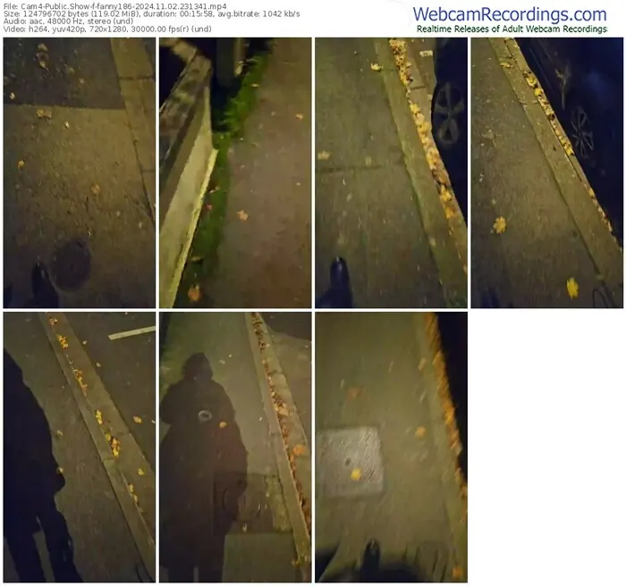 2024/11/02/cam4-fanny186-23-13-41