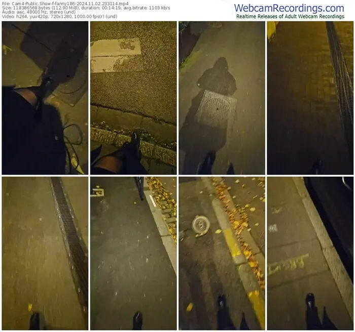 2024/11/02/cam4-fanny186-23-31-14