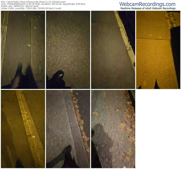 2024/11/02/cam4-fanny186-23-54-41