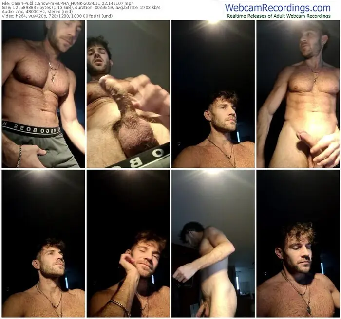 2024/11/02/cam4-alpha_hunk-14-11-07