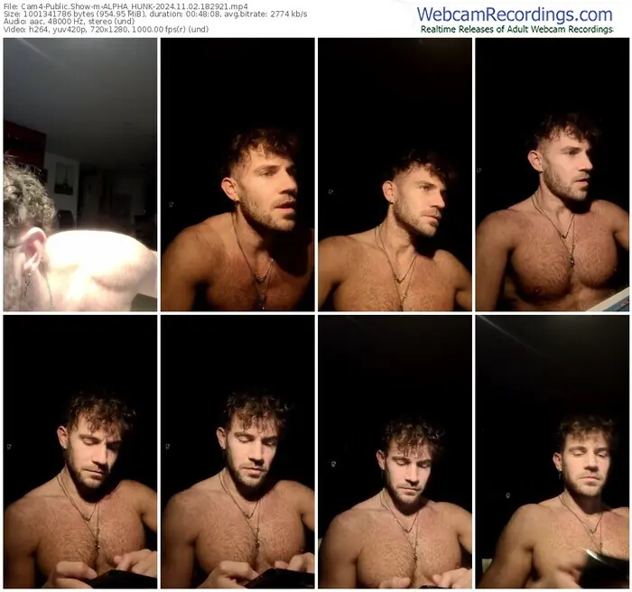 2024/11/02/cam4-alpha_hunk-18-29-21