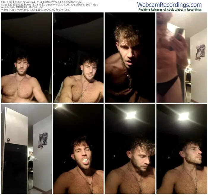 2024/11/02/cam4-alpha_hunk-20-41-05