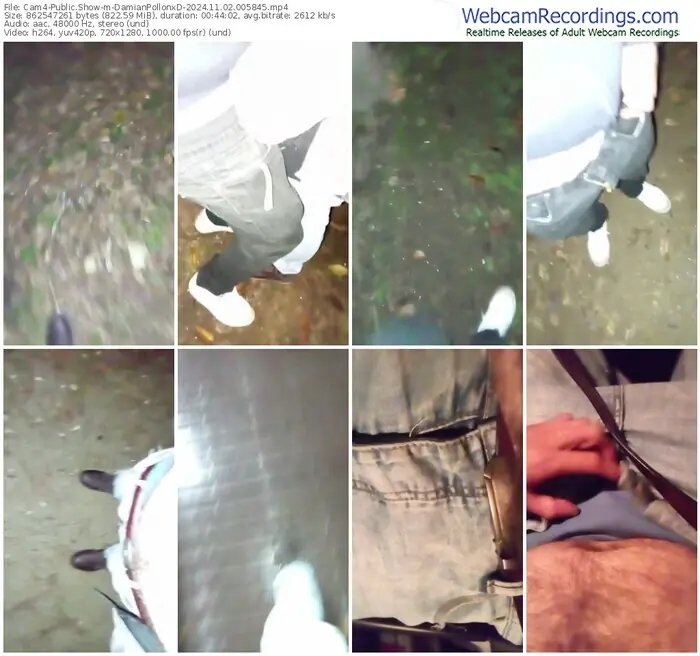 2024/11/02/cam4-damianpollonxd-00-58-45